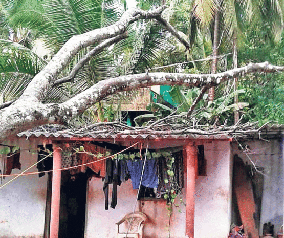 ಜಿಲ್ಲೆಯಾದ್ಯಂತ ವ್ಯಾಪಕ ಮಳೆ: ವಿವಿಧೆೆಡೆ ಹಾನಿ