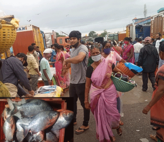 ಮಲ್ಪೆ ಬಂದರು: ಡ್ಯಾಮ್‌, ಆಂಧ್ರದ ಮೀನು ಭರ್ಜರಿ ಮಾರಾಟ