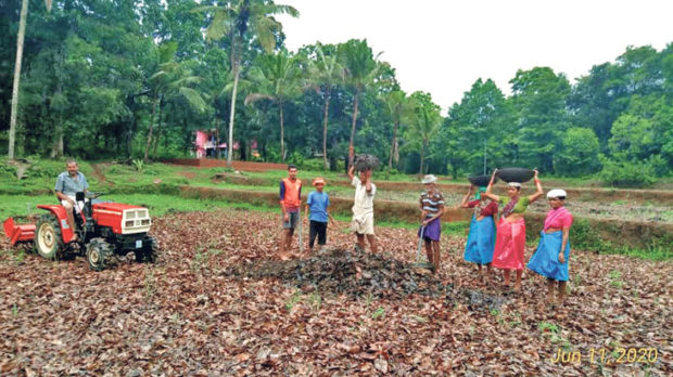 ಮುಂಗಾರು ಮಳೆ ಆಗಮನ: ಗದ್ದೆ ಕೆಲಸ ಆರಂಭ