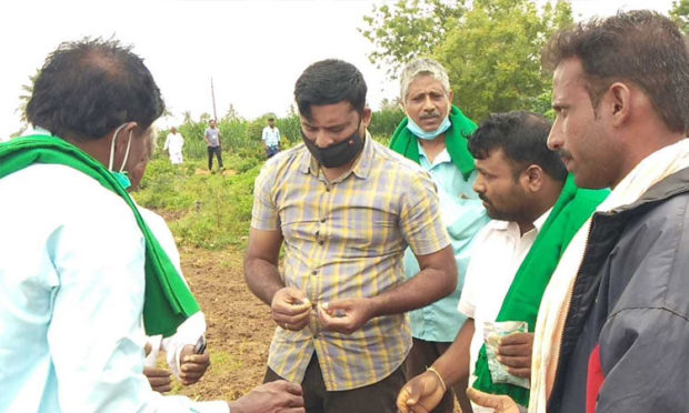 ಮೊಳಕೆಯೊಡೆಯದ ಸೋಯಾ ಬೀಜ: ಆತಂಕ