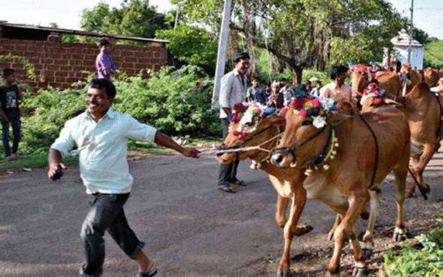 ಕಾರ ಹುಣ್ಣಿಮೆ ; ಮುಂಗಾರು ಆರಂಭದ ಮೊದಲ ಹಬ್ಬ