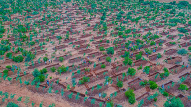 ಅರಣ್ಯ ಪ್ರದೇಶದಲ್ಲಿ ಇಂಗು ಗುಂಡಿ