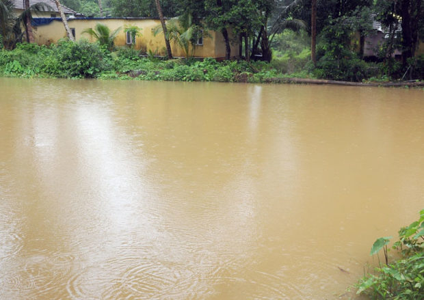 ಕರಾವಳಿಯಲ್ಲಿ ಉತ್ತಮ ಮಳೆ; ಕೆಲವೆಡೆ ಹಾನಿ