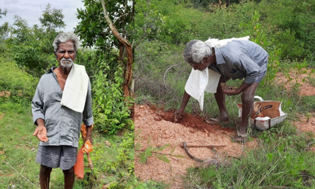 ಕಾಡಿನಲ್ಲಿ  ಬೀಜ ಬಿತ್ತುವ ತಂದೆ-ಮಗ