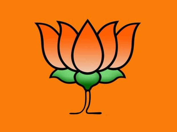 flex bjp