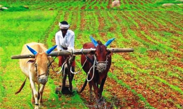 ಮಂದಹಾಸ ಮೂಡಿಸಿದ ಪುನರ್ವಸು ಮಳೆ