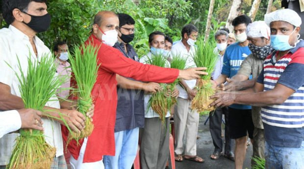 ಹಡಿಲುಗದ್ದೆ ಬೇಸಾಯ ಅಭಿಯಾನ