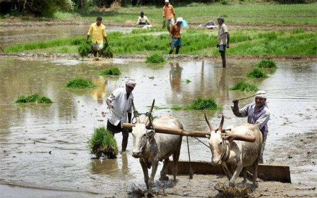 ಕಿಸಾನ್‌ “ಸರಕಾರಿ ನೌಕರರ’ ಪತ್ತೆಗೆ ಕ್ರಮ