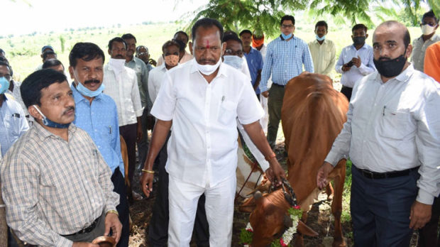 50 ಸಾವಿರ ರಾಸುಗಳ ಕೃತಕ ಗರ್ಭಧಾರಣೆಗೆ ಒಳಪಡಿಸುವ ಗುರಿ: ಸಚಿವ ಚವ್ಹಾಣ