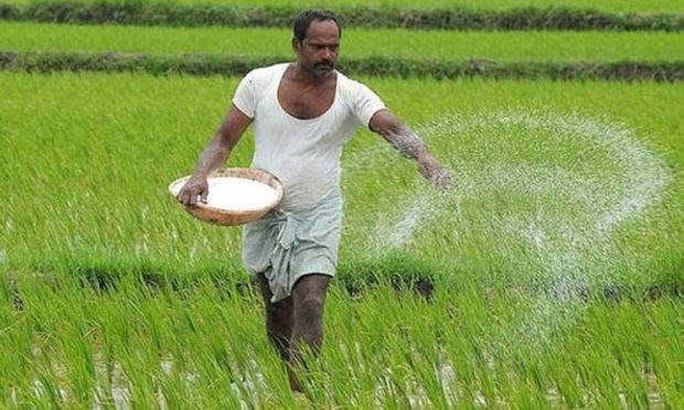 ಯೂರಿಯಾ ರಸಗೊಬ್ಬರ ಕೊರತೆ