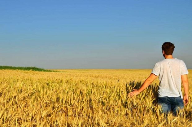 42178162 – young man looks into the distance in a barley field