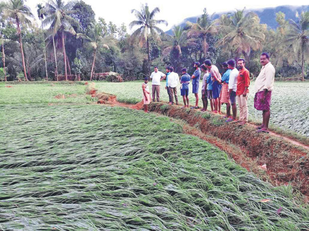 ಮಳೆ: ಬೈಂದೂರು ಪರಿಸರದಲ್ಲಿ ಅಪಾರ ಹಾನಿ