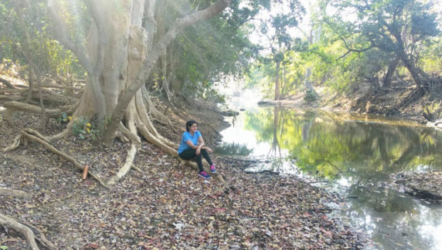 ನೇಚರ್ ಕ್ಯಾಂಪ್