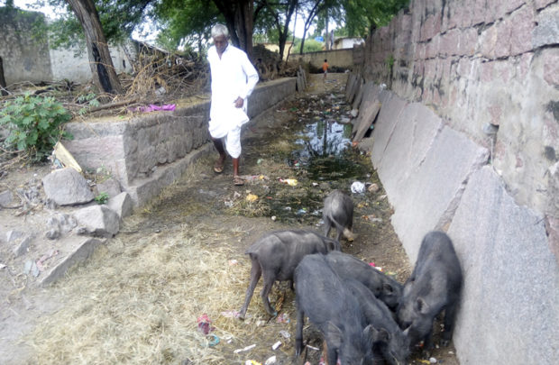 ದೋಟಿಹಾಳಕ್ಕಿಲ್ಲ ತ್ಯಾಜ್ಯ ವಿಲೇವಾರಿ ಸೌಲಭ್ಯ : ಗ್ರಾಮದಲ್ಲಿ ಕಂಡ ಕಂಡಲ್ಲೇ ಕಸ