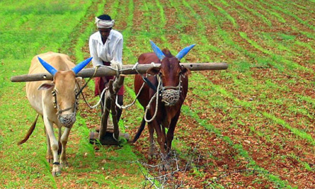 ಕೃಷಿ ವಲಯದ ಅಭಿವೃದ್ಧಿಗಾಗಿ ಮಸೂದೆ