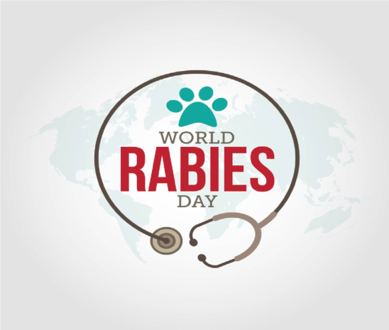 World Rabies Day 2020: All you need to know | Udayavani – ಉದಯವಾಣಿ