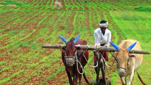 ಕೇಂದ್ರದ ರೈತ ಕಾನೂನು ವಿರುದ್ಧ ಕಾಂಗ್ರೆಸ್‌ನಿಂದ ಪ್ರತ್ಯೇಕ ಕಾಯ್ದೆ