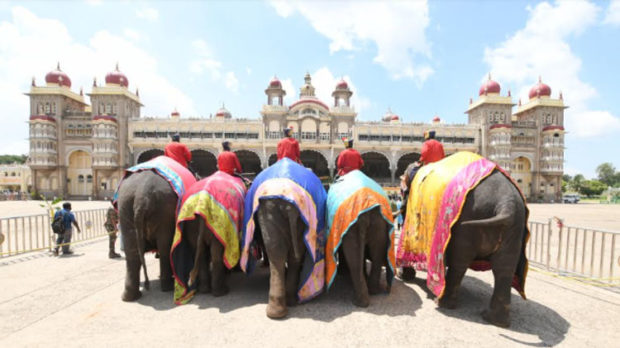 ಕೋವಿಡ್ ಭೀತಿಯ ನಡುವೆ ಜಂಬೂ ಸವಾರಿಗೆ ಸಕಲ ಸಿದ್ದತೆ: ಗಜಪಡೆಗೆ ವರ್ಣಾಲಂಕಾರ