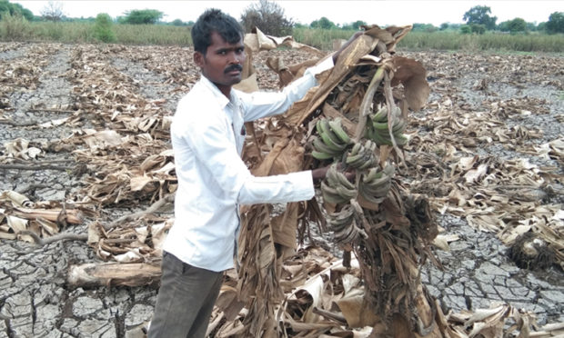 ಮಳೆ ನಂತರವೂ ಸುಧಾರಿಸದ ರೈತನ ಬದುಕು!