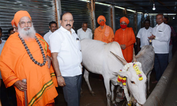 ಗೋ ಸಂಪತ್ತು ಉಳಿಸಿ-ಬೆಳೆಸಿ: ಮಾಮನಿ