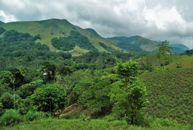 ಕಸ್ತೂರಿರಂಗನ್‌ ವರದಿ ; ಜಾರಿ ಹಂತದಲ್ಲಿ ನಮ್ಯತೆ ಇರಲಿ