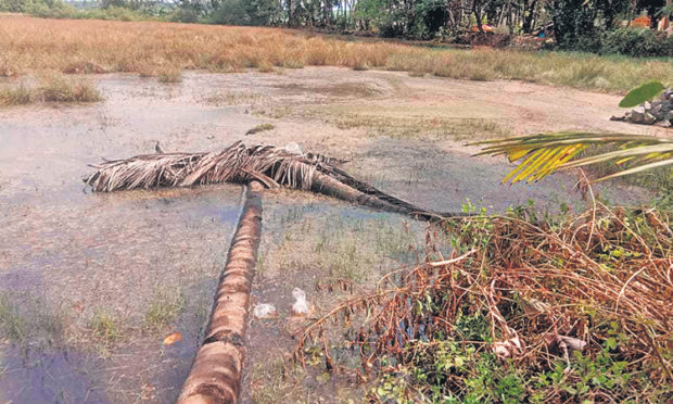 ಕೋಡಿ: ಉಪ್ಪು ನೀರಿನಿಂದಾಗಿ ಕುಡಿಯಲೂ ನೀರಿಲ್ಲ