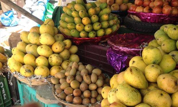 ಫೆ. 8-12 ತೋಟಗಾರಿಕೆ ಮೇಳ