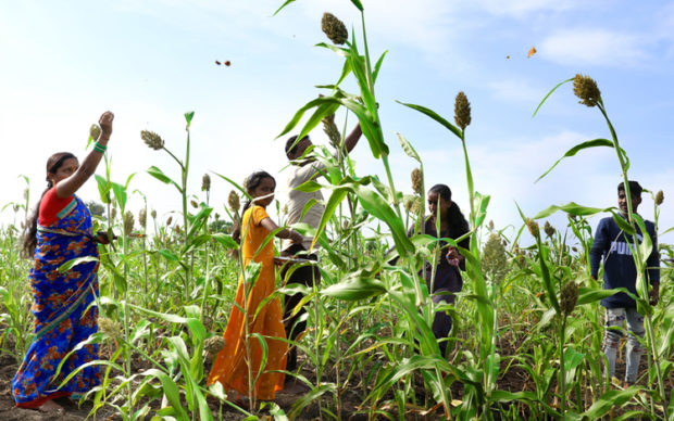 ಭೂತಾಯಿಗೆ ಬಯಕೆಯ ಬುತ್ತಿ ಅರ್ಪಿಸಿದ ಅನ್ನದಾತರು