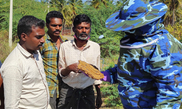 ಬೆಳೆಯ ಪರಾಗಸರ್ಶಕ್ಕಾದ್ರೂ ಜೇನು ಸಾಕಿ