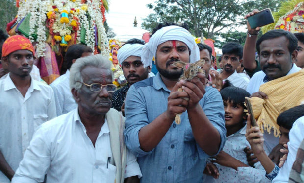 ಕಾಡಿನಿಂದ ಹಿಡಿದ ಮೊಲವನ್ನು ಮತ್ತೆ ಕಾಡಿಗೆ ಬಿಟ್ಟು ಸಂಕ್ರಾಂತಿ ಹಬ್ಬ ಆಚರಿಸಿದ ಗ್ರಾಮಸ್ಥರು