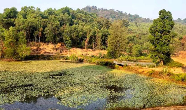 ಅರಸೊತ್ತಿಗೆ ಕಾಲದ ಕೆರೆಗೆೆ ಕಾಯಕಲ್ಪದ ನಿರೀಕ್ಷೆ