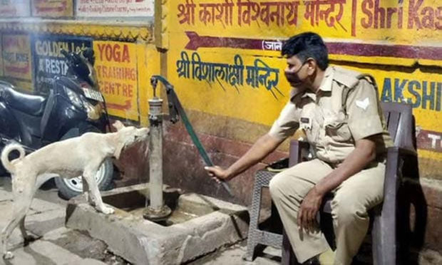 Watch: Varanasi Cop Helping Thirsty Dog Drink Water Wins Hearts On Internet