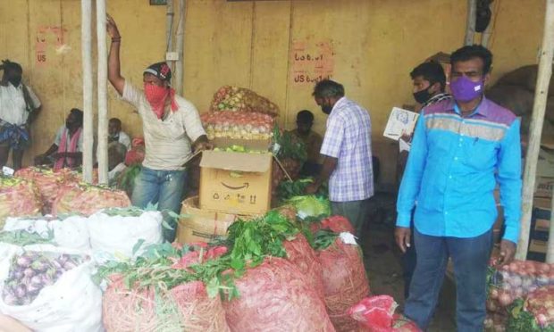 ಹರಾಜಾಗದೇ ಕೊಳೆಯುತ್ತಿದೆ ತರಕಾರಿ, ಟೊಮೆಟೋ!