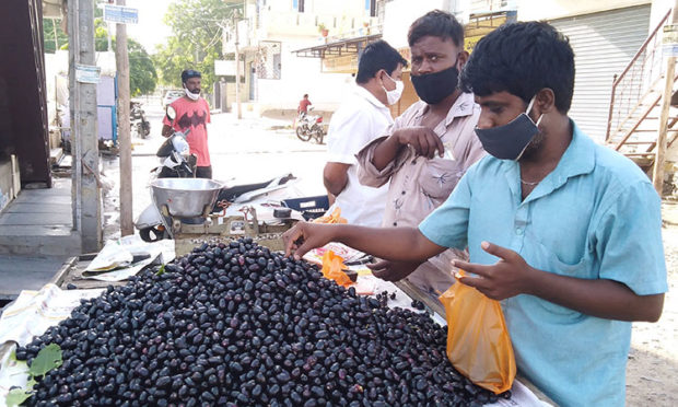 ದುಬಾರಿಯಾಯ್ತು ನೇರಳೆ ಹಣ್ಣು