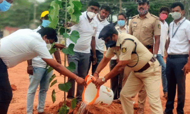 Planting plant