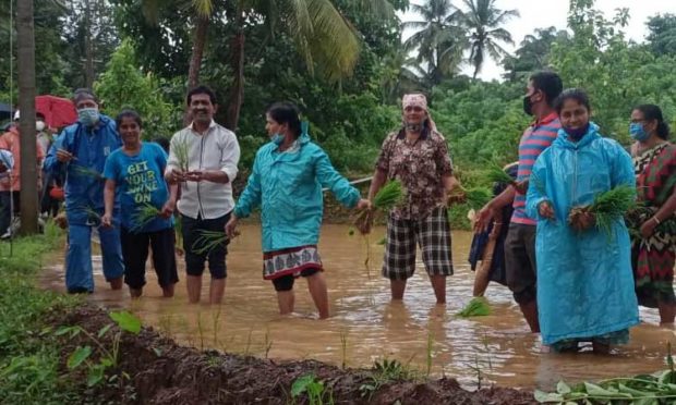 ಕೆಥೋಲಿಕ್‌ ಸಭಾ,ಶಿರ್ವಘಟಕ: ಹಡಿಲು ಭೂಮಿ ಕೃಷಿ ಚಟುವಟಿಕೆಗೆ ಚಾಲನೆ