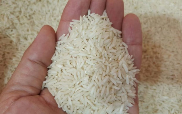 rice