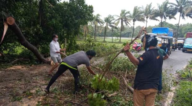 ಗಾಳಿ ಮಳೆ: ಕಾಪು – ಶಿರ್ವ ರಸ್ತೆಗೆ ಮರ ಬಿದ್ದು ಸಂಚಾರ ಸ್ಥಗಿತ