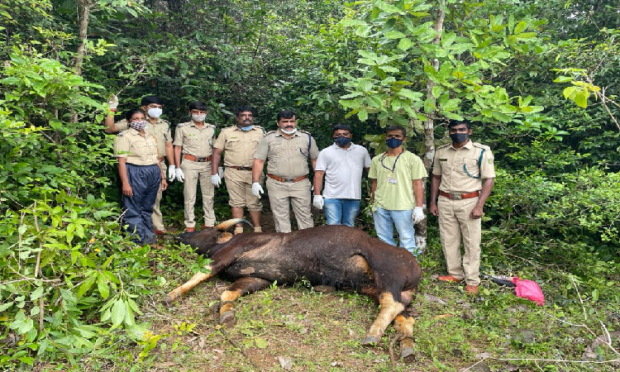 ಷಚ್ವಗಹಜಹಗ್ಗಹಜ