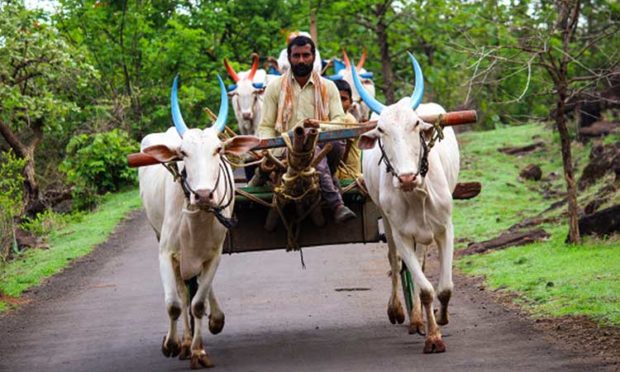 ಬಣ್ಣದ ನೆನಪುಗಳ ಸವಾರಿ