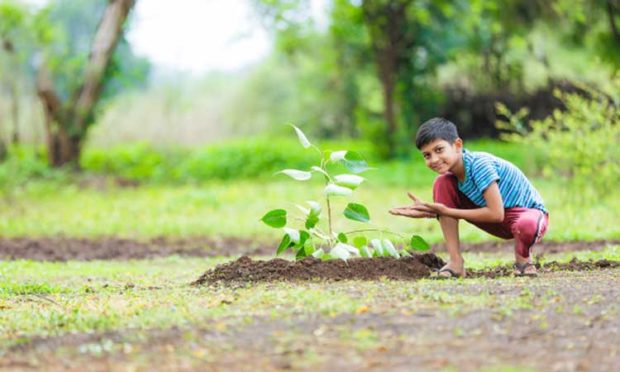 ಮನೆಗೊಂದು ಮರ ಊರಿಗೊಂದು ವನ…