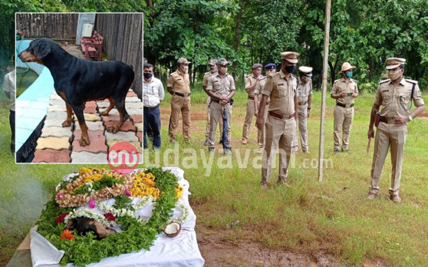 ಹತ್ತು ವರ್ಷಗಳಿಂದ ಕರ್ತವ್ಯದಲ್ಲಿದ್ದ ಪೊಲೀಸ್‌ ಶ್ವಾನ “ಸುಧಾ’ಗೆ ಭಾವಪೂರ್ಣ ಅಂತಿಮ ವಿದಾಯ