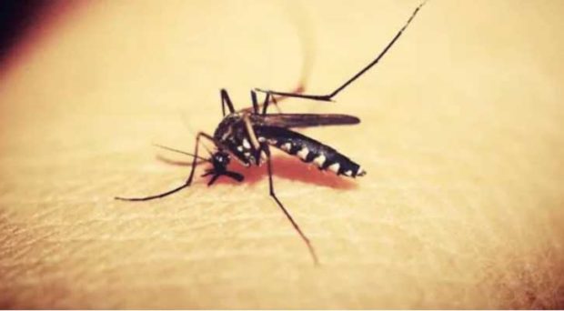 Zika virus case reported in Kerala