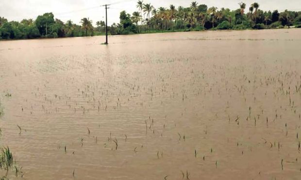 ಕೋಟ ಗಿಳಿಯಾರು: ಪ್ರತೀ ವರ್ಷ ನೆರೆ ಹಾವಳಿ