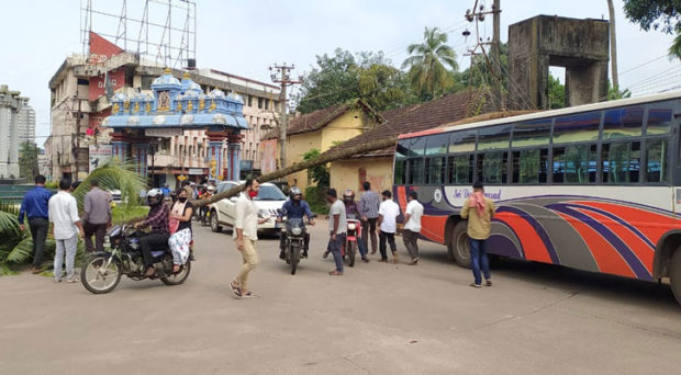 ಮಂಗಳೂರು: ಬಸ್ ಮೇಲೆ ಬಿದ್ದ ಬೃಹತ್ ತೆಂಗಿನ ಮರ