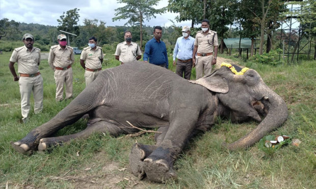 incident held at mysore