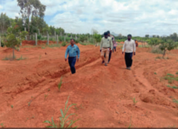 ರೈತರಿಗೆ ತೋಟಗಾರಿಕಾ ಮಿಷನ್‌ ವರದಾನ