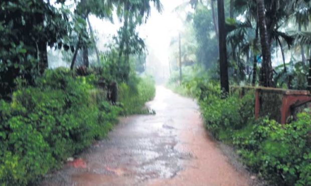 ಕಾಸನಾಡಿ -ಬುಗುರಿಕಡು ರಸ್ತೆ ಅಭಿವೃದ್ಧಿಗೆ ಬೇಡಿಕೆ