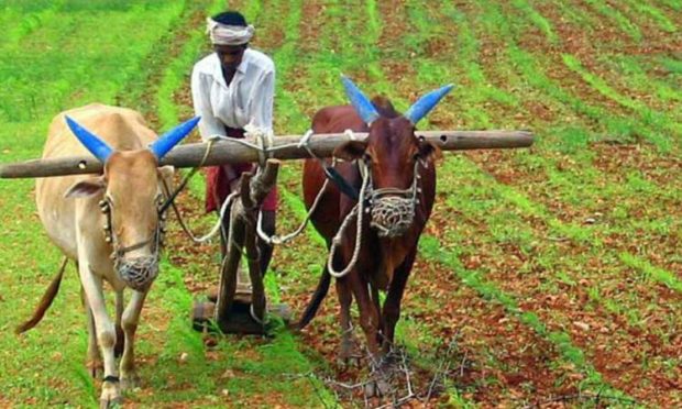 ರೈತರಿಗೂ ಗೌರವ ಡಾಕ್ಟರೆಟ್‌: ಬೆಂಗಳೂರು ಕೃಷಿ ವಿವಿ ನಿರ್ಧಾರ