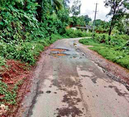 ಕಲ್ಲು ಗುಡ್ಡ ಪ್ರದೇಶ, ಪರಾವಲಂಬನೆ ಅನಿವಾರ್ಯ